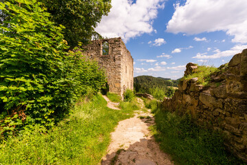 Fototapeta premium Burgruine Prandegg im Mühlviertel Oberösterreich