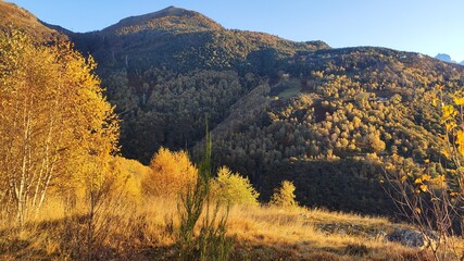 autumn in the mountains