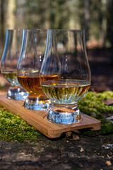 Tasting of scotch single malt whisky from Islay island, most intensely flavoured of all whiskies in Scotland