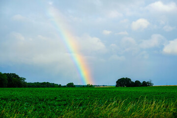 rainbow over the field