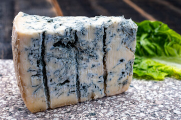 Cheese collection, piece of italian blue cheese gorgonzola picante with blue mold from north of Italy