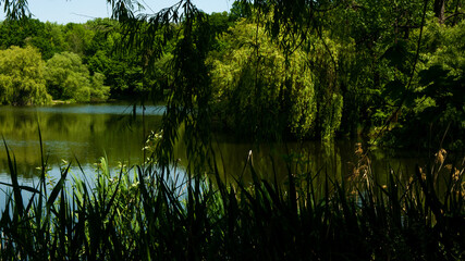Fototapeta premium Beautiful views in the Silesian park in Chorzów. Ready for entry.