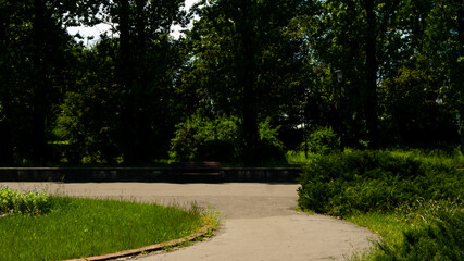 Fototapeta premium Beautiful views in the Silesian park in Chorzów. Ready for entry.