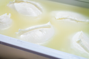 Cheese shop, fresh handmade soft Italian cheese from Campania, white balls of buffalo mozzarella cheese made from cow milk in container with water