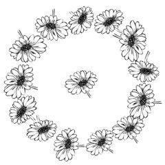 Obraz premium frame in monochrome colors, gerbera flowers, blooming background for cards, and various designs