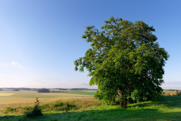 Fototapeta na wymiar Hill of Doue and agriculture fields in the Brie region