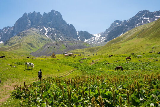 Juta valley near Caucasus mountain. a famous landscape in Kazbegi, Mtskheta-Mtianeti, Georgia.