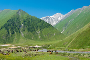 Fototapeta na wymiar Truso valley near Caucasus mountain. a famous landscape in Kazbegi, Mtskheta-Mtianeti, Georgia.