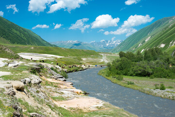 Truso valley near Caucasus mountain. a famous landscape in Kazbegi, Mtskheta-Mtianeti, Georgia.