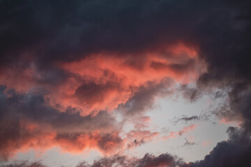 Naklejka premium Clouds illuminated by the setting sun