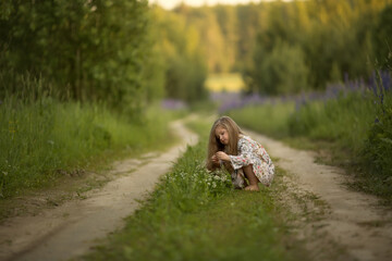 A girl with long blond hair is standing on the path and looking at small wild flowers. Fields of lupins grew on the roadside. Image with selective focus.