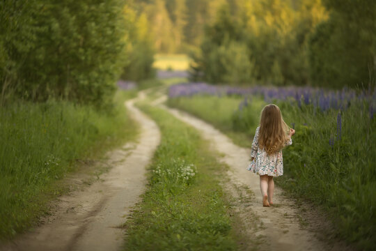 A girl with long blond hair is walking away along a path that leads to the forest. Fields of lupins grew up around the path on the side of the road. Image with selective focus.