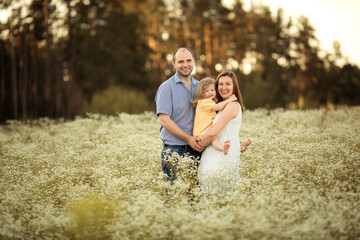 Mom, dad and their little daughter are having fun in a chamomile field near the forest. They are hugging and laughing. Image with selective focus.