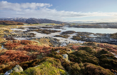 Fototapeta na wymiar Landscape of low tide water and white sands at Mora Scotland Scottish highlands in winter with bright colors of winter heather capture in the sunlight 