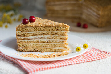 Piece of layered creamy honey cake decorated with cherry on white plate