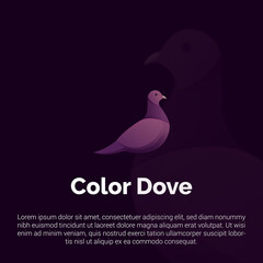 Vector illustration of colorful dove logo, icon, sticker design template.