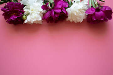 lovely peony flowers on pink background, space for text, celebration greeting card concept, flat lay