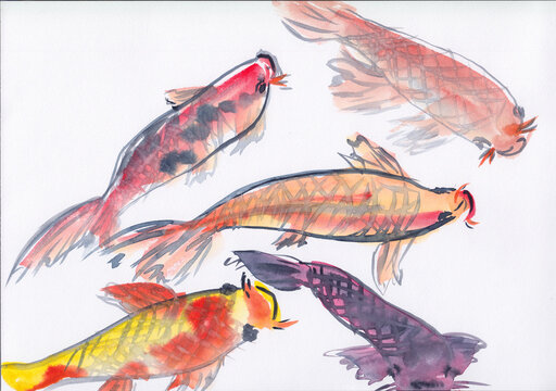 Watercolor illustration of Koi Carp fish in Chinese Ink technique. Oriental style underwater landscape on paper. Calm soothing background painting. Vibrant colorful artwork. Asian brush strokes.