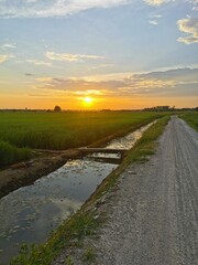 :Small drain inside Paddy field during sunset