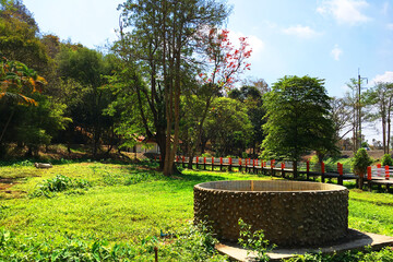 landscape of hot spring in park at Chiang Rai,Thailand