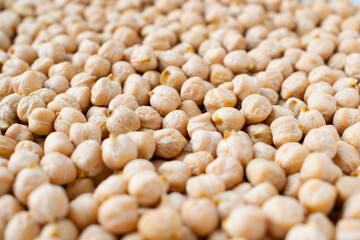 Chickpeas background. Close up photo. Chickpeas texture.