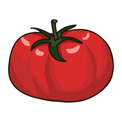 Hand drawn red tomato. Vector cartoon tomato.