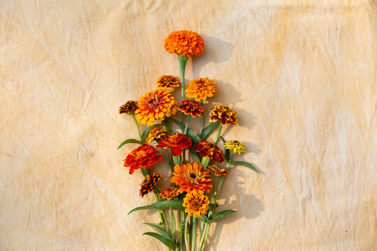 fall bouquet of zinnia and marigold 7