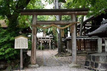 Fototapeta na wymiar japanese shrine gate 神社