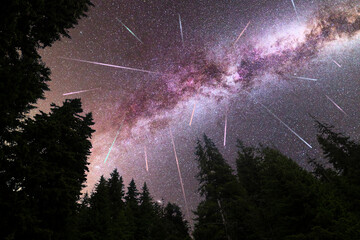 Purple Milky way falling stars pine trees silhouette