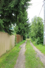 Dirt road between country houses. Russia.