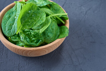 Fresh spinach leaves in wooden bowl on dark background. Organic food