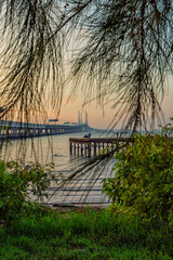 Magnificent Penang second bridge captured with a nature framing technique. Soft focus effect due to close up shot with large aperture setting