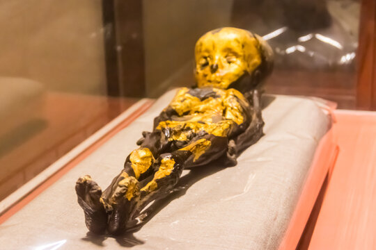Ancient mummy of child in Museum of Egyptian Antiquities, known commonly as the Egyptian Museum or Museum of Cairo, in Cairo, Egypt