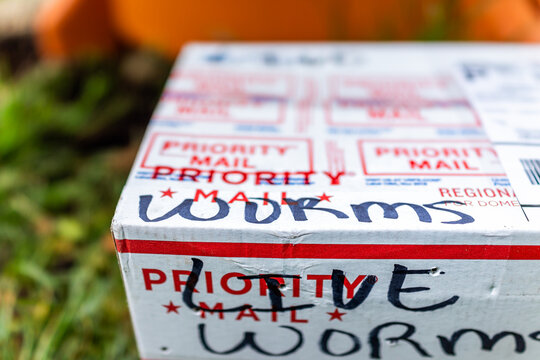 Herndon, USA - April 29, 2020: Live Worms Sign On Package Delivery Box As Priority Mail From USPS For Garden Container Compost Tower And Nobody