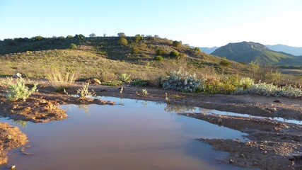 Fototapeta premium Rainwater Puddle on a Karoo Dirt Road with Hill and Mountains
