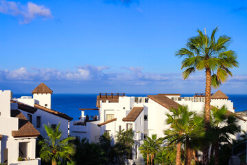 Fototapeta na wymiar A tall palm tree and white houses with brown roofs against the ocean and blue sky. Gia de Isora, Tenerife, Spain