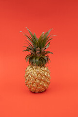 Gold painted pineapple
