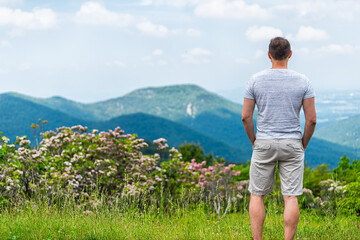 Pink mountain laurel wildflowers with man on overlook in Shenandoah Blue Ridge appalachian mountains with bokeh background of peak