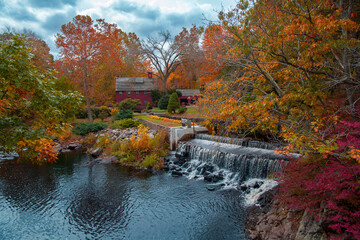 beautiful autumn connecticut forest and river