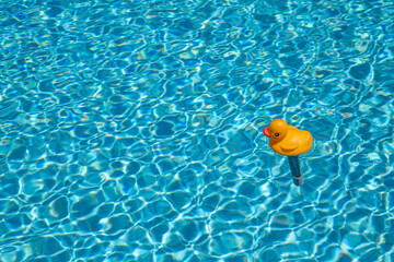 Yellow duck funny thermometer in swimming pool
