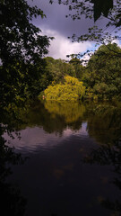 Beautiful St. Stephen's Green park in Dublin city centre, Republic of Ireland, Europe 2020. Natural green background.