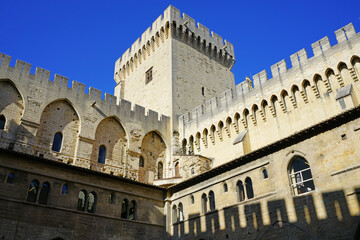 Fototapeta premium View of the Palais des Papes (popes palace) in the historic medieval city of Avignon, Vaucluse, Provence, France, once capital of Catholic popes