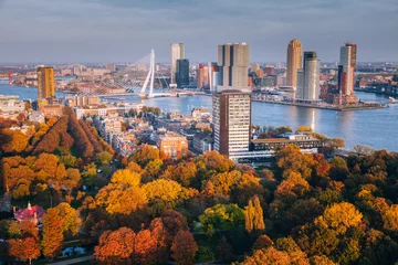 Gordijnen Aerial panorama of Rotterdam © Henryk Sadura