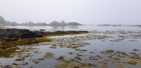 view of the river