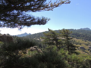 Paysage de corse, au aiguilles de bavella