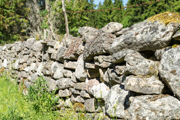Old stone fence in small Kesselaid (or Kessulaid) islet in the Baltic Sea. Abandoned farmstead, grass grows through and over the wall. Farm situated between junipers and stone fence. Estonia.
