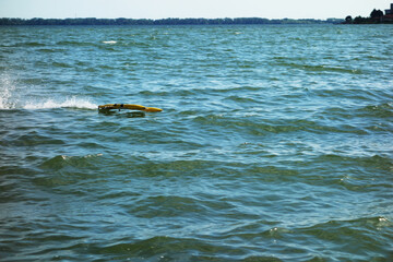 Naklejka premium Prototype electric model boat reaching a speed of 100km / h, 62mile / h