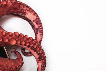 Tentacles of freshly cooked octopus on white background © Diana Vyshniakova