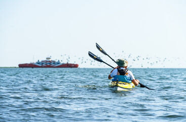 Virtsu, Estonia / June 24 2020: Kayaking team paddling in Suur Strait. Ferry Piret connecting Kuivastu port (island Muhu) with Virtsu harbor in Estonian mainland. Midsummer time in Estonia.