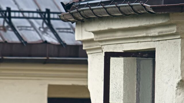 Blackbird flying away in slow motion, a european city bird taking leap from a window with raindrops while heavy rainfall are pouring in the gutter of an old city backyard apartment